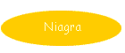 Niagra