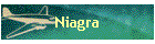 Niagra